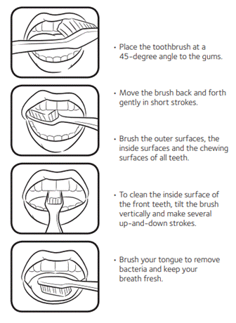 brushing technique, Best Dental Hygiene Practices